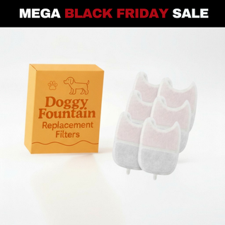 6 Filter Pack - 4 Months