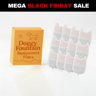 12 Filter Pack - 10 Months