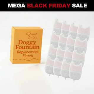 16 Filter Pack - 15 Months