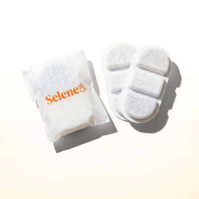 2 Replacement Filters (2.2L)