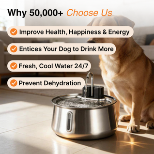 Wireless Fountain™ Care Bundle