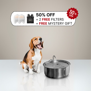 The Doggy Fountain™