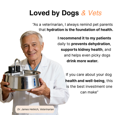 Wireless Fountain™ - Family Bundle