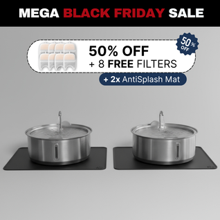 Doggy Fountain Duo Pack