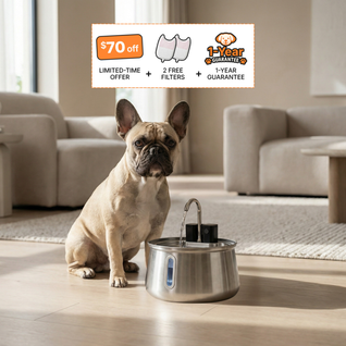 The Doggy Fountain™