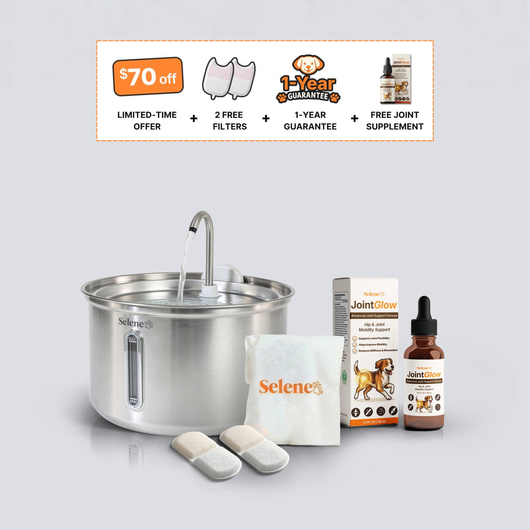plug-in 4l capacity