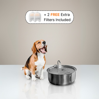 The Doggy Fountain™
