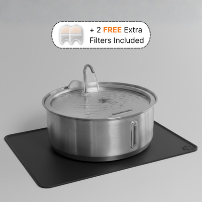 The Doggy Fountain - Complete Set