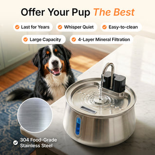 Wireless Fountain™ - The Starter Kit