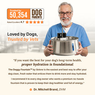 Wireless Doggy Fountain™