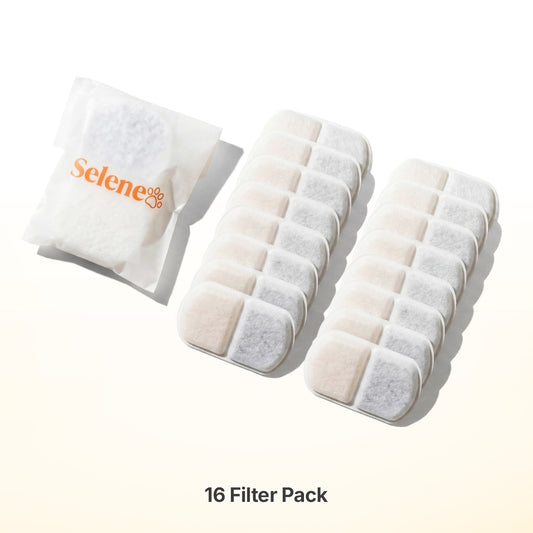 8-Month Supply • 16 Filters
