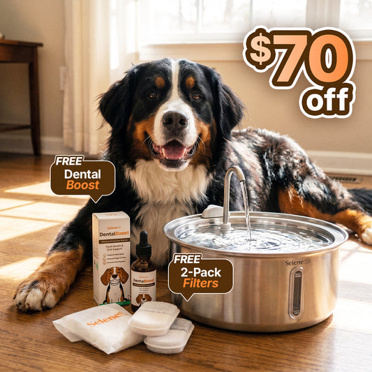plug-in 7l capacity with dental boost