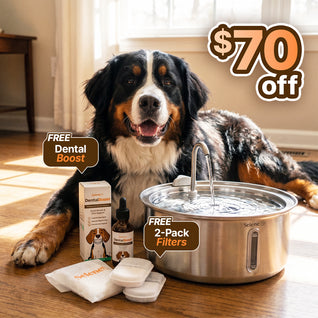 The Doggy Fountain™ - Health Bundle