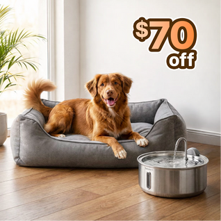 The Doggy Fountain™ - Health Bundle